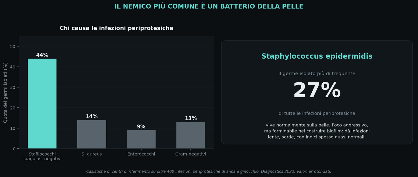 I germi più frequenti non sono batteri aggressivi: sono commensali della pelle.